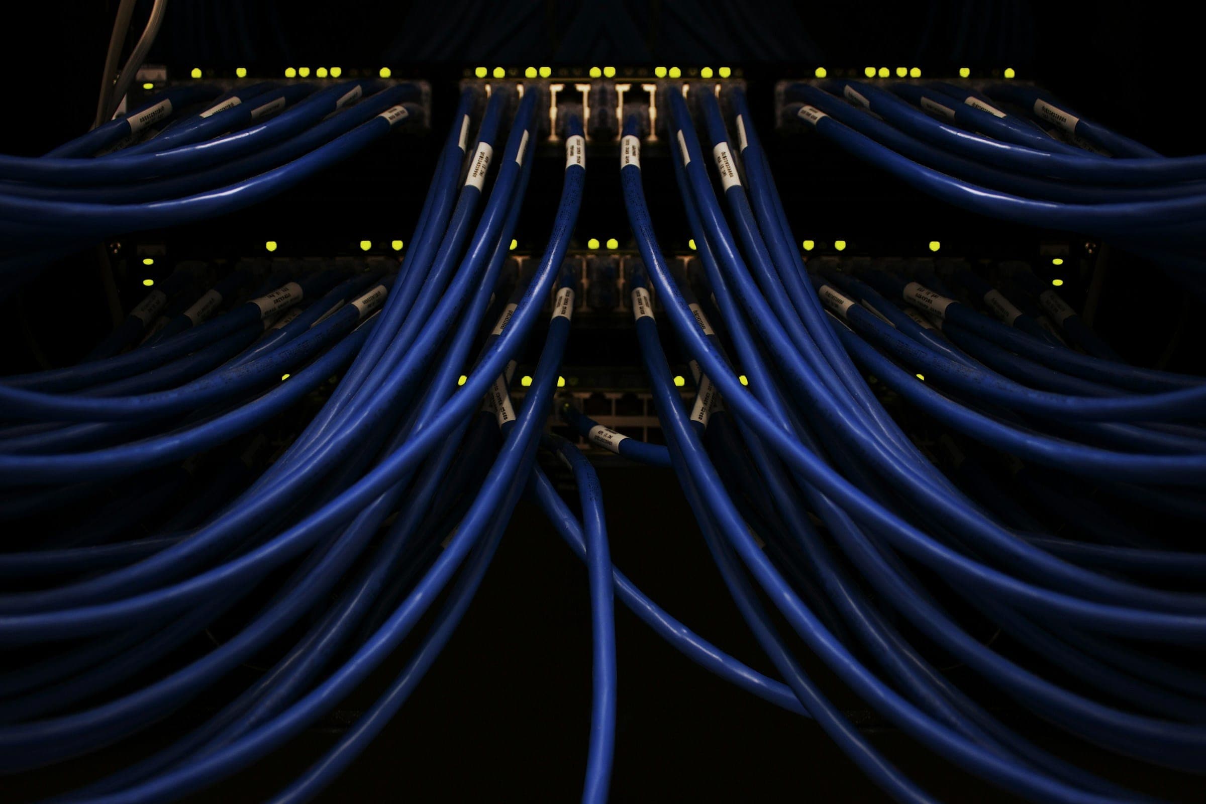 Dozens of blue network cables fanning out from a patch panel against a black background.