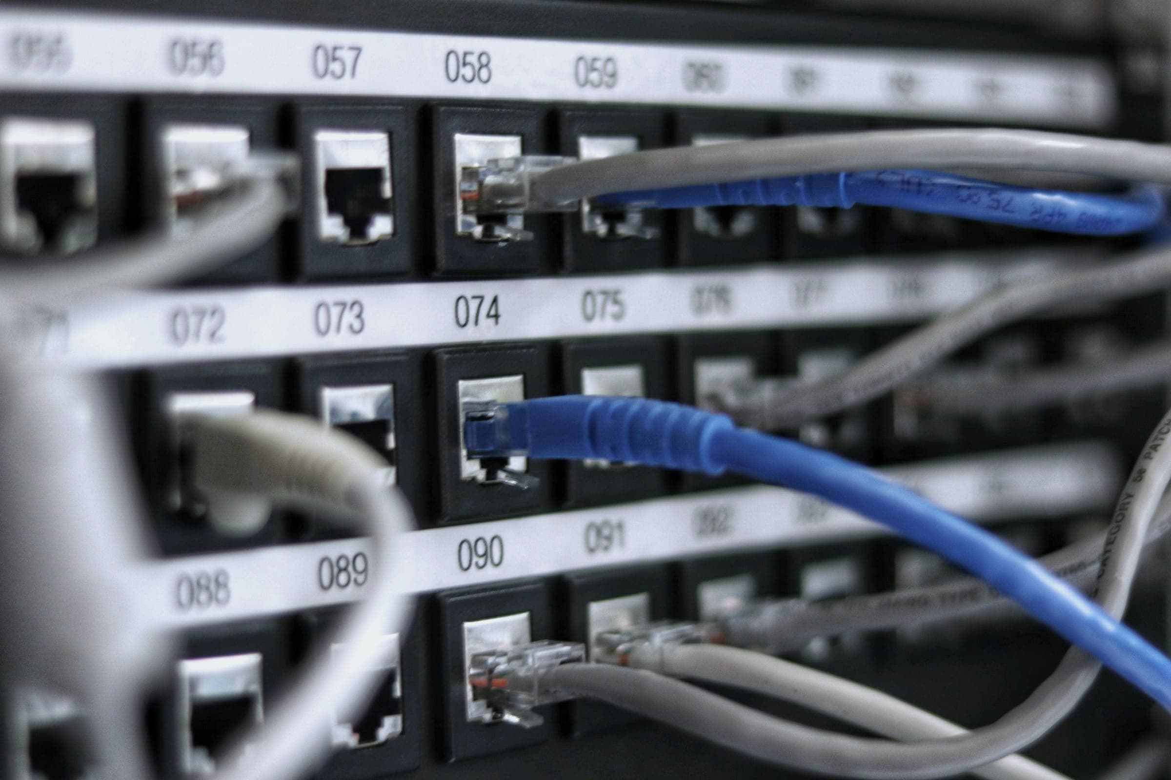 Blue and grey patch cables plugged into a numbered patch panel, shallow focus.